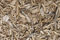 biomass boilers Cefncaeau