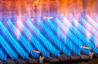 Cefncaeau gas fired boilers
